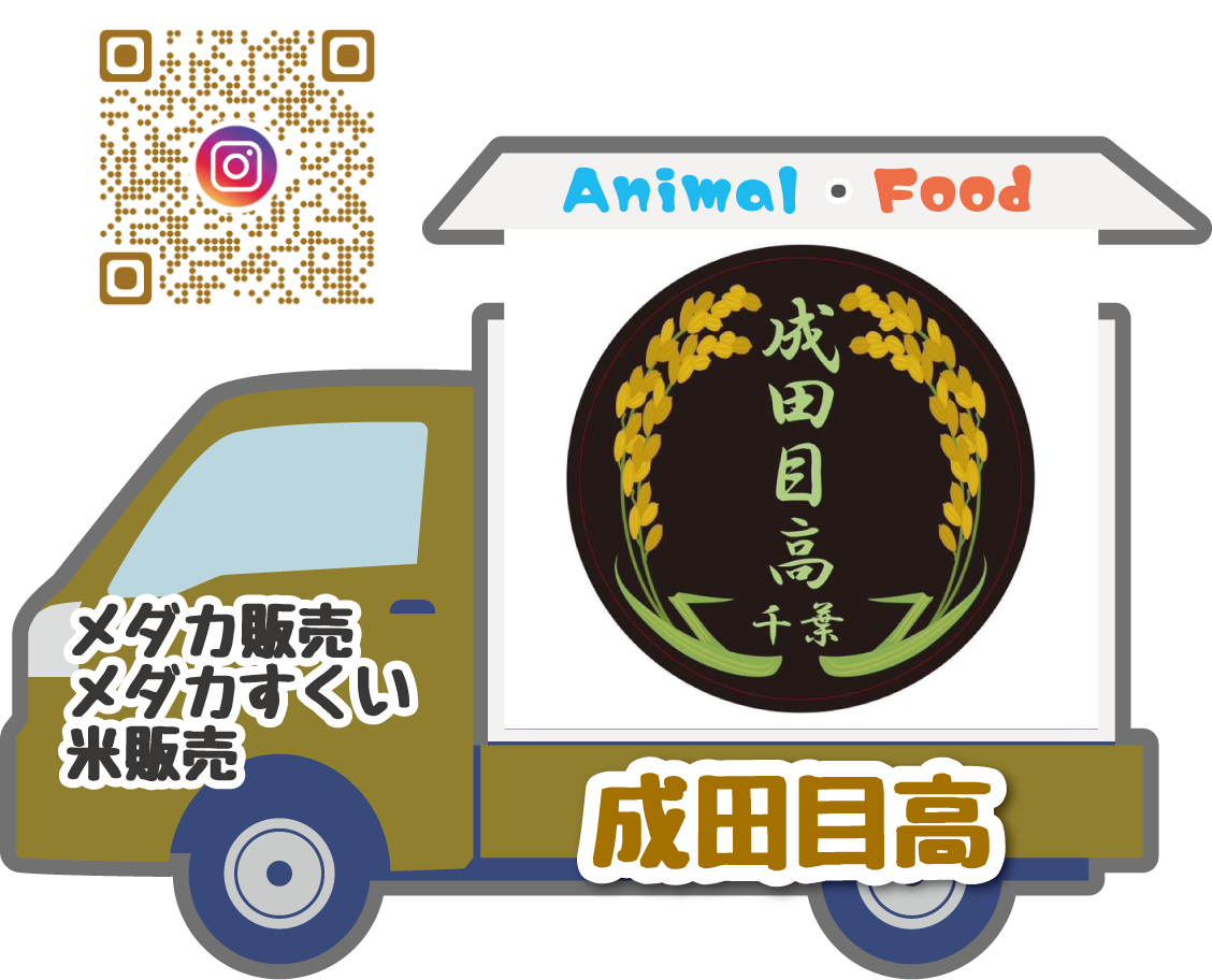 成田目高